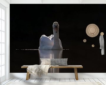 Schwan in einem dunklen Rahmen