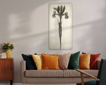 Botanische Wandkunst, Iris-Gemälde, schmale Leinwand