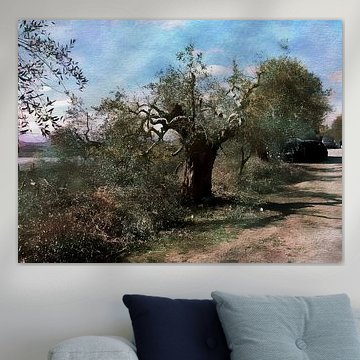 Tag des Olivenbaumschnitts