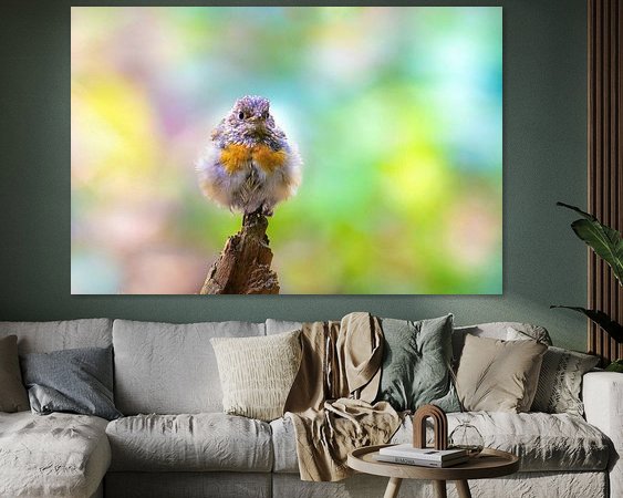 Aperçu de la chambre