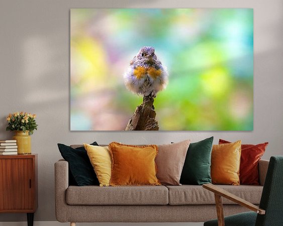 Aperçu de la chambre