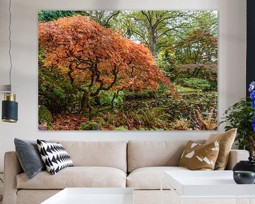 The Japanese Garden at Clingendael Estate. by Jaap van den Berg