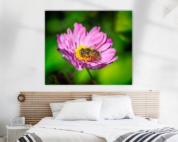 Macro of a hover fly on an autumn anemone flower by ManfredFotos