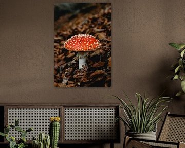 Fly agaric - Red and orange with white dots by Jessica Dillema