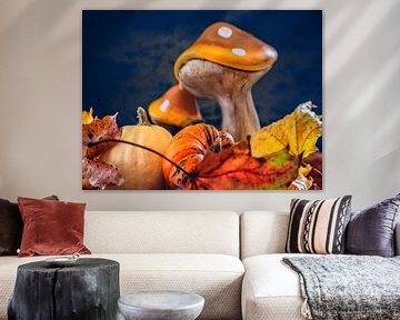 AUTUMN CONCEPT : PUMPKINS IN OCTOBER