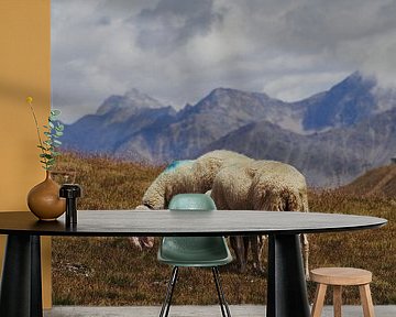 Sheep on the Hohe Mut Alm by Lisanne Storm