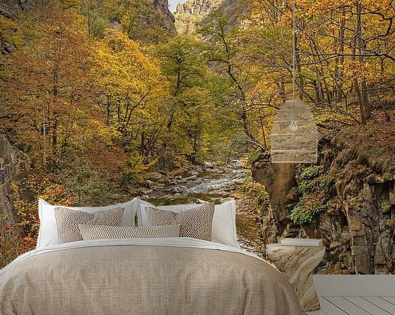 Aperçu de la chambre