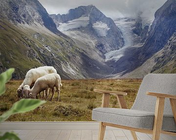 Sheep overlooking the glaciers by Lisanne Storm