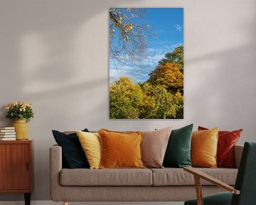 Autumn landscape (Indian Summer) by t.ART