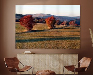 Red autumn color at Kreuzberg in the Rhön Mountains