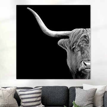 Porträt eines schottischen Highlanders