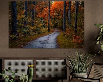 bike path among autumn colors