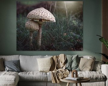 Big white parasol in the early morning by Jolanda Aalbers