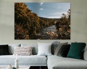 Blick auf die Coo-Wasserfälle, Ardennen Wallonie, Belgien von Manon Visser