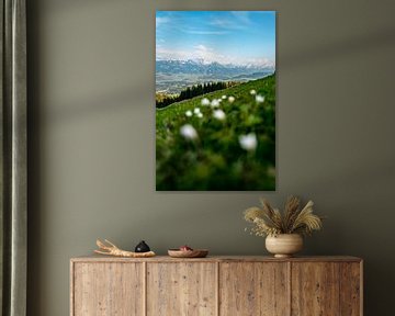 Crocuses in spring at the Hörnerkette in Allgäu by Leo Schindzielorz