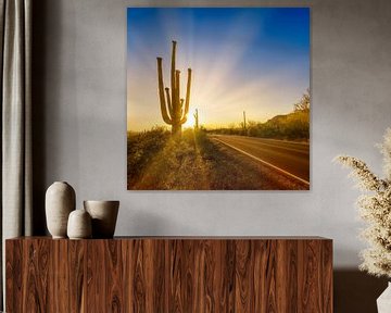 SAGUARO NATIONAL PARK Ondergaande zon van Melanie Viola