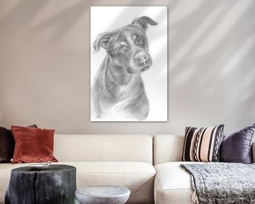Nieuwsgierige hond met zachte blik van Adria Mueller