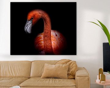 Flamingo Portrait von Bild.Konserve