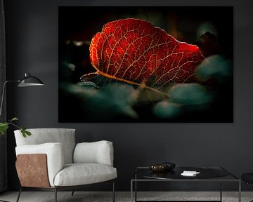 autumn leaf by lydia versluis