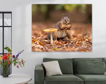 Squirrel with his nut by Patrick van Bakkum