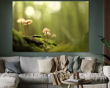 Mushrooms by Lisa Bouwman