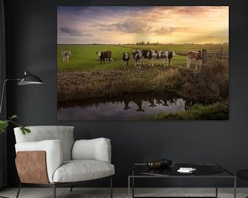 Vaches à la campagne avec un moulin à vent en arrière-plan sur KB Design & Photography (Karen Brouwer)