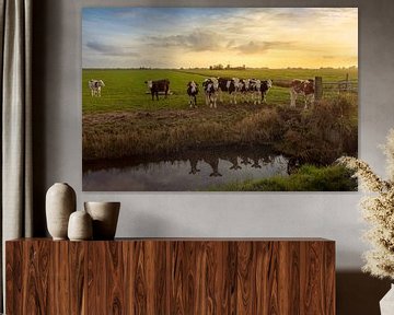 Koeien in het land met een molen op de achtergrond van KB Design & Photography (Karen Brouwer)