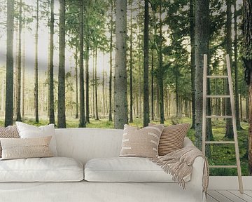 Forest by Lisa Bouwman