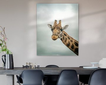 Portrait de la girafe Beekse Bergen sur Zwoele Plaatjes