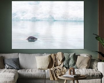 Phoque gris dans le lac Jökulsárlón sur Danny Slijfer Natuurfotografie