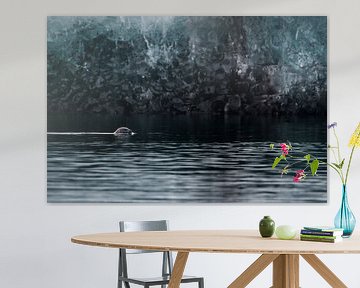 Kegelrobbe im See Jökulsárlón von Danny Slijfer Natuurfotografie