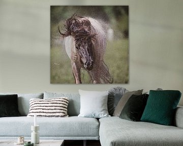 se débarrasser de tout