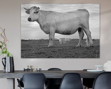 Kuh in niederländischer Landschaft von Anjo Kan