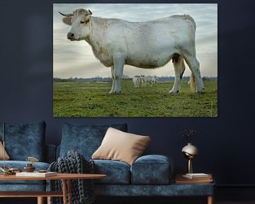 Vache dans un paysage néerlandais sur Anjo Kan