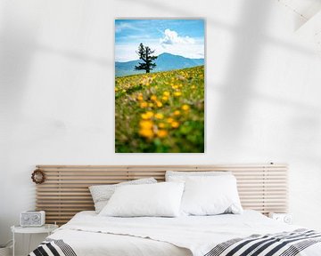 Flower meadow on the Mittagberg with a view of the Grünten mountain by Leo Schindzielorz