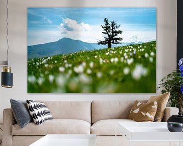 Crocus meadow at Mittagberg with view to the Grünten mountain by Leo Schindzielorz