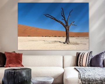 Deadvlei, skeletons of trees in desolate dune landscape by Nicolas Vangansbeke