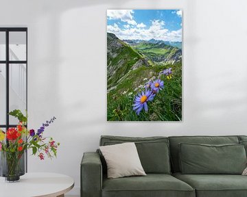 Blumen und Edelweiß mit Blick auf den Hochvogel und die Allgäuer Alpen