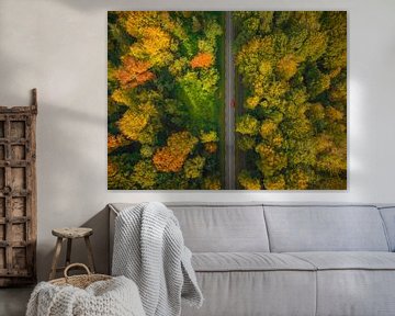 Weg door een herfst bos met kleurrijke bladeren van bovenaf gezien van Sjoerd van der Wal Fotografie