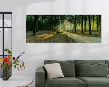 Sandy road through dark forest with sun rays in fog by Fotografiecor .nl