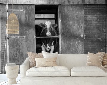 Cow in stable by Anjo Kan