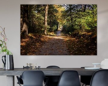 Sunshine Forest Path 4 - Herbst in Hoenderloo von Deborah de Meijer