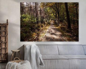 Sunshine Forest Path 3 - Herbst in Hoenderloo von Deborah de Meijer