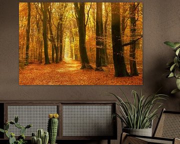 Weg durch einen nebligen Wald an einem schönen sonnigen Herbsttag von Sjoerd van der Wal Fotografie