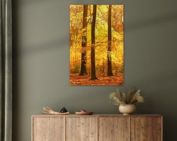 Sonniger Wald an einem schönen, nebligen Herbsttag von Sjoerd van der Wal Fotografie