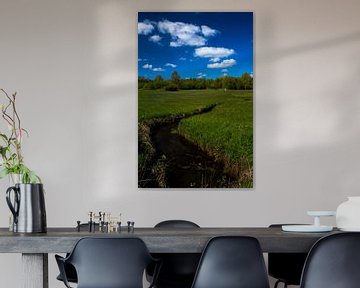 Bavelse lei gespiegeld in de wolken, Wolfslaar, Breda, Noord-Brabant, Holland, Nederland Afbeelding  by Ad Huijben
