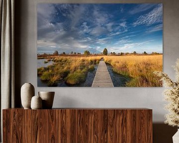 Promenade des Hautes Fagnes par une journée ensoleillée d'automne. sur Rob Christiaans