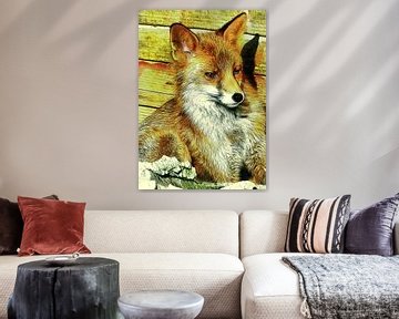 Portrait Of An Urban Fox