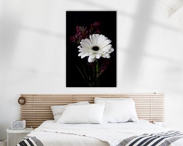 Flower Gerbera white