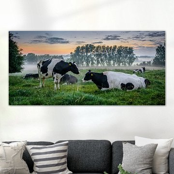 Sonnenaufgang über der Wiese.